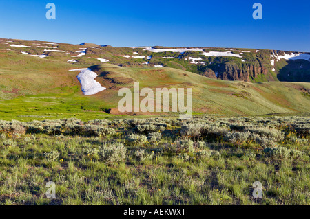 Grassy meadow with wildflowers in Steens Mountain with snow patches Oregon Stock Photo