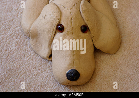 Ornamental dog lying on carpet head close up Stock Photo