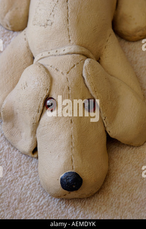Ornamental dog lying on carpet close up Stock Photo