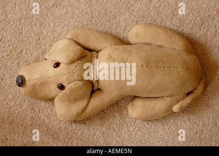 Ornamental dog lying on carpet close up Stock Photo