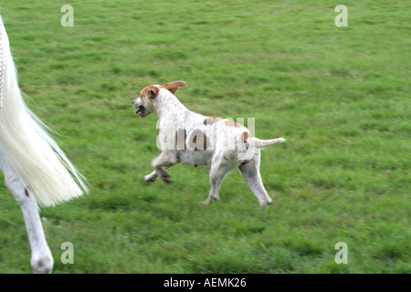 The Cranleigh Show August 2005 Stock Photo