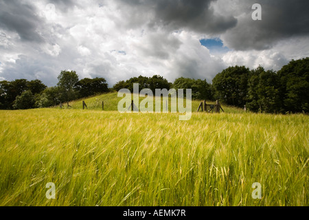 Hetty Peglers Tump long barrow, a prehistoric burial chamber the ...