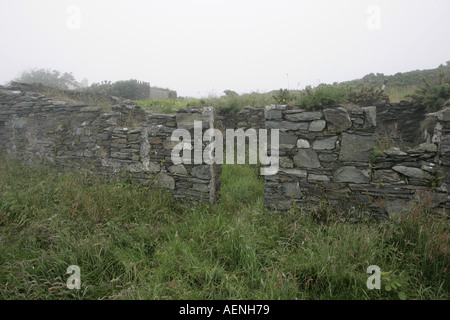 ruins of traditional manx house dwelling cregneash village IOM Stock Photo