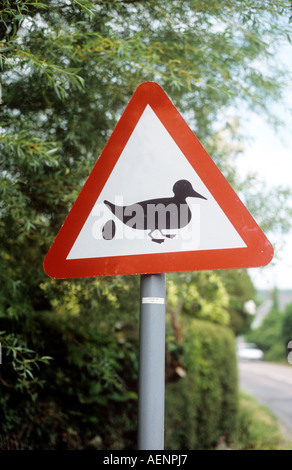 Ducks crossing road sign with egg laid Stock Photo