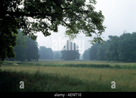 Lassical hi res stock photography and images Alamy