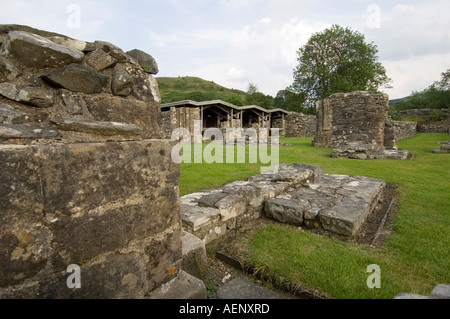 Ruined Cistercian abbey Ystrad Fflur Strata Florida Pontrhydfendigaid Ceredigion west wales Stock Photo