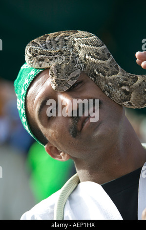 Snake Charmer in Marrakech's Jeema el Fna Square Stock Photo