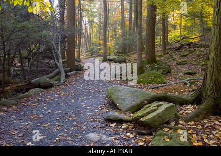 Mountain trail in fall Cunningham Falls State Park, Thurmont Maryland Stock Photo