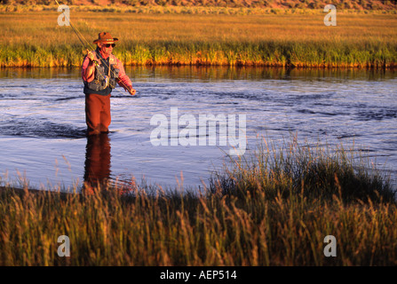 Model released man fly fishing for trout in the Eastern Sierras Stock Photo