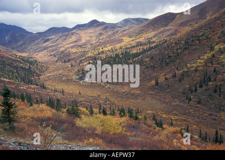 fall colors of the tundra along the Denali Highway interior Alaska Stock Photo