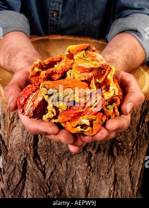 MAN HOLDING DRIED RED PEPPERS Stock Photo