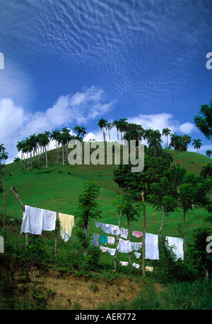 clothes on clothesline dominican republic archipelago of the greater antilles caribbean