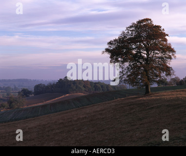 Evocative dawn light at Farhill overlooking Kelmarsh Hall Northamptonshire Stock Photo