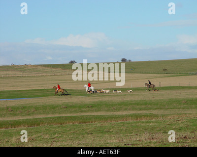 A fox hunt in progress on the Isle of Sheppey kent Horseback riders with pack of hounds Stock Photo