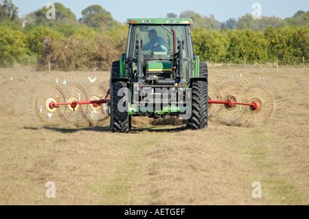 Farmer Harvesting cutting hay in Florida FL and bailing it to cubes with egrets looking for bugs with John Deere Tractor Stock Photo