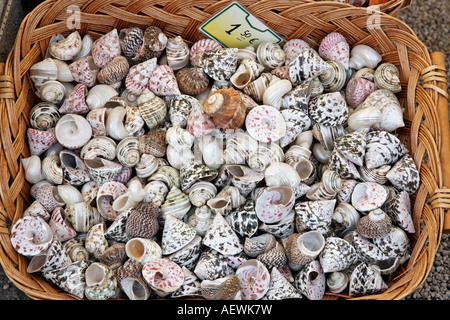 Shell Store Harbour Old Rhodes Town Greek Islands Greece Hellas Stock ...