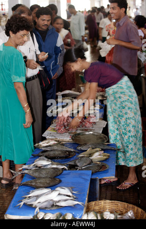 Margao Salcete Goa India Fish market Stock Photo