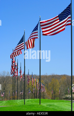 American flag display at the entrance to Ft. Custer National Cemetery Stock Photo