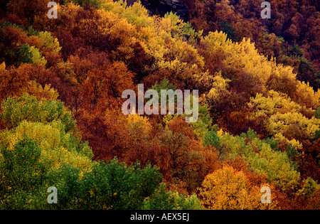 Autumn colours in the norwegian mountains. Stock Photo