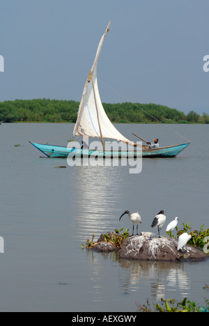 A Luo sailing canoe arriving back at Dunga near Kisumu Kenya East Africa Stock Photo
