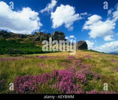 cow and calf rocks on ilkley Moor Yorkshire Dales UK Stock Photo