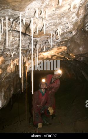 male and female cavers inspects formations including straw stalagtites in the newly discovered Notts II cave on Leck Fell York Stock Photo