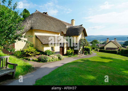 Selworthy village green  Thatch thatched cottage Somerset England UK GB EU Europe Stock Photo