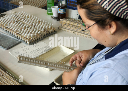 Woman working in the factory in Manacor where they make the famous Majorica pearls Mallorca Spain Stock Photo