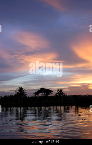 SUNSET OVER KUTTANAD LAKE Stock Photo