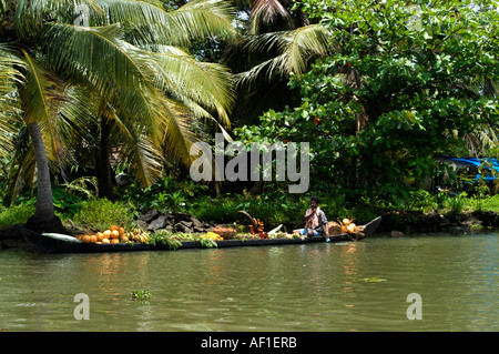 COUNTRY BOAT IN BACKWATERS OF KUTTANAD, ALAPPUZHA Stock Photo