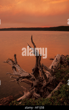 Smoke from a forest fire creates a strange sunset over Paulina Lake in Newberry National Monument ,Oregon, USA Stock Photo