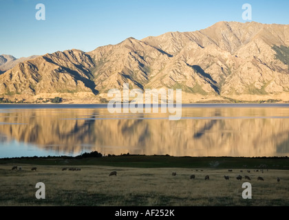 Evening sunlight highlights mountains which cast reflections in a New Zealand lake, South Island Stock Photo