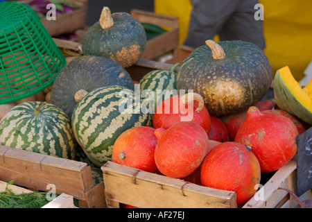 A mixture of Squashes for sale on a market in the Languedoc Roussillon area of the south of France
