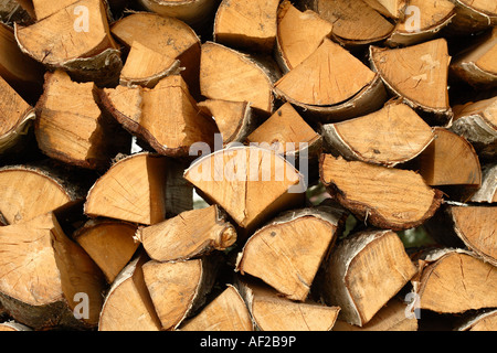Cut logs firewood timber fuel for wood fire Stock Photo
