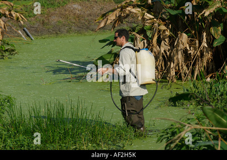 Mosquito control spraying at the man made wetlands Green Cay Nature Area Delray Beach Florida USA Stock Photo