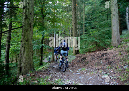 Cycling Gwydyr Forest Snowdonia Gwynedd North West Wales UK Stock Photo