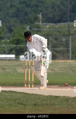 Batsmen hits pitch in Cricket Game played in New Jersey USA by players from India Pakistan Australia West Indies Stock Photo