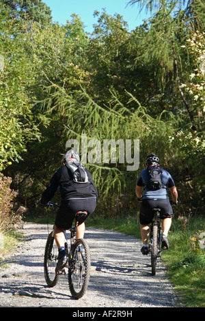 Cycling Gwydyr Forest Snowdonia Gwynedd North West Wales UK Stock Photo