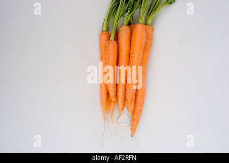 fresh carrots Stock Photo