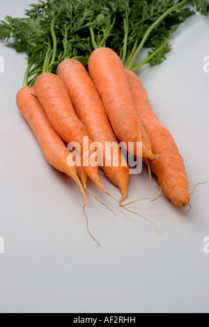 fresh carrots Stock Photo