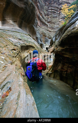 Hiker in the Orderville slot canyon, Narrows, zion national park