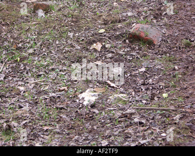 Lump of gypsum and brickwork around the explosion crater at Fauld. Stock Photo