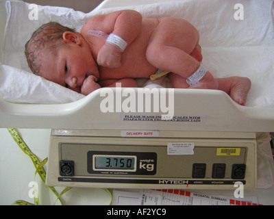 Newborn baby hot sale weight scale