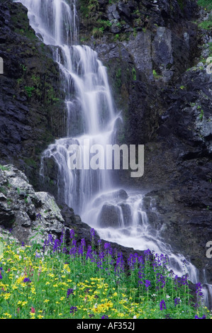 Waterfall and wildflowers in alpine meadow Heartleaf Arnica Tall Larkspur Bistort Ouray San Juan Mountains  Colorado USA Stock Photo