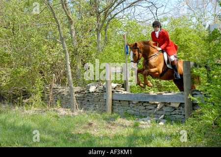 Equestrian rider in scarlet coat or pinks and horse jumping over a stone fence in Kentucky USA Stock Photo