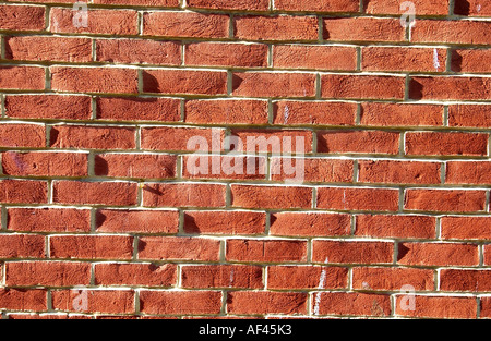 Sunlight skims across the surface of a newly repointed old brick wall in Brighton East Sussex England UK Stock Photo