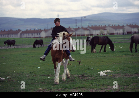 Boys with their horses on the Ballymun estate Dublin Stock Photo