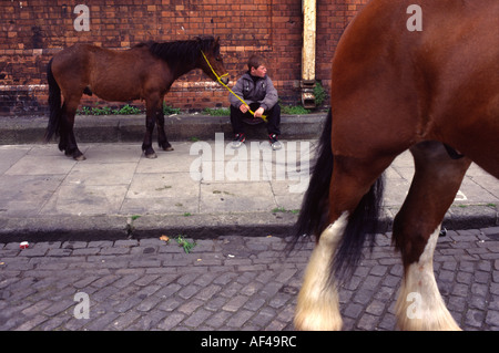 A boy with his horse on the Ballymun estate Dublin Stock Photo