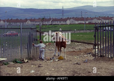 A boy tries to lead his pony under a fence on the Ballymun estate in Dublin. Stock Photo