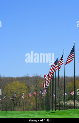 American flag display at the entrance to Ft. Custer National Cemetery Stock Photo